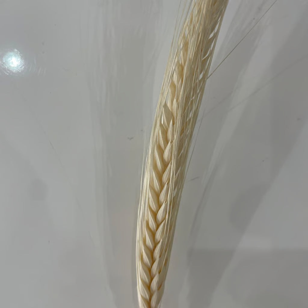 Spighe Pettinate Stabilizzate - Grano Decorativo