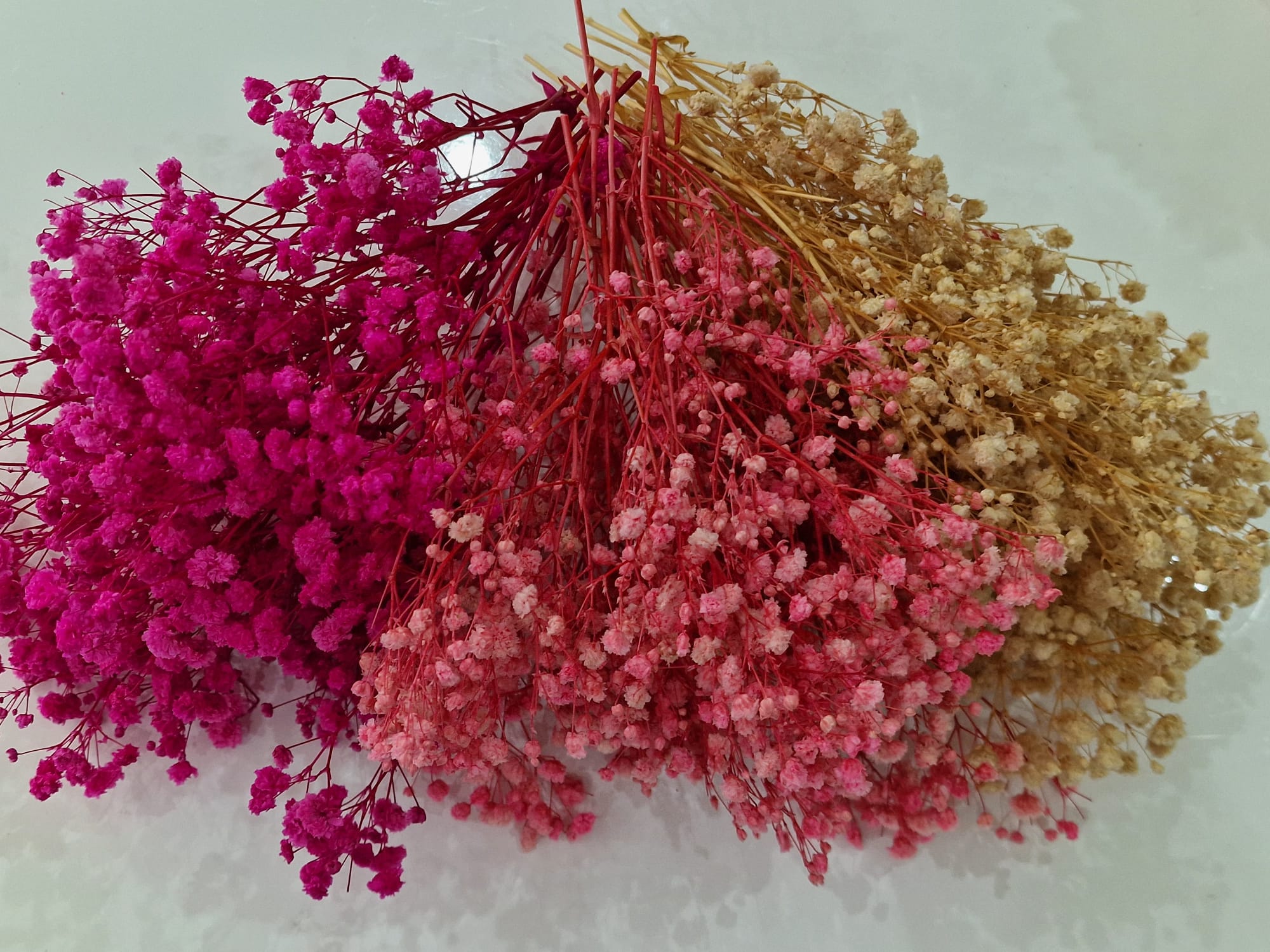 Fiori Stabilizzati Gypsophila Mista 3 Colori