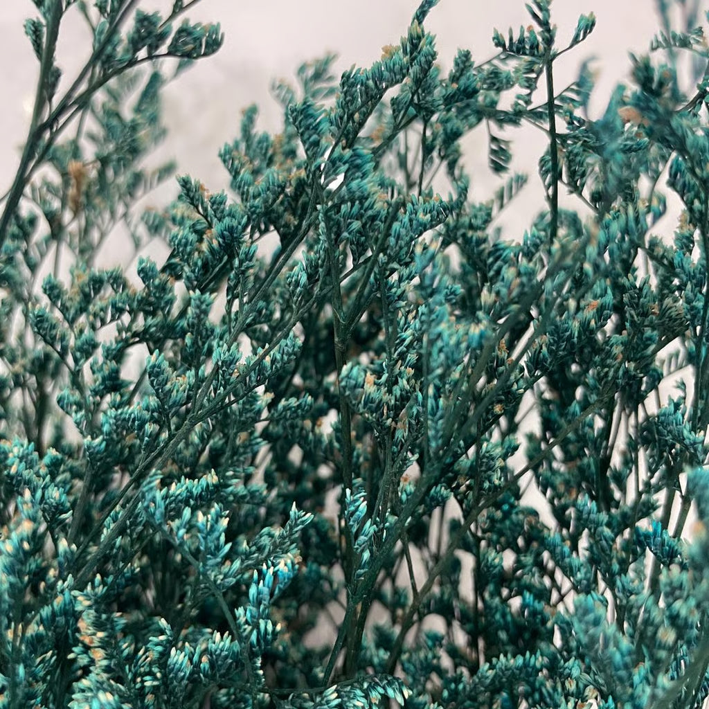 Erbetta degli Amanti Stabilizzata - Fiori Romantici