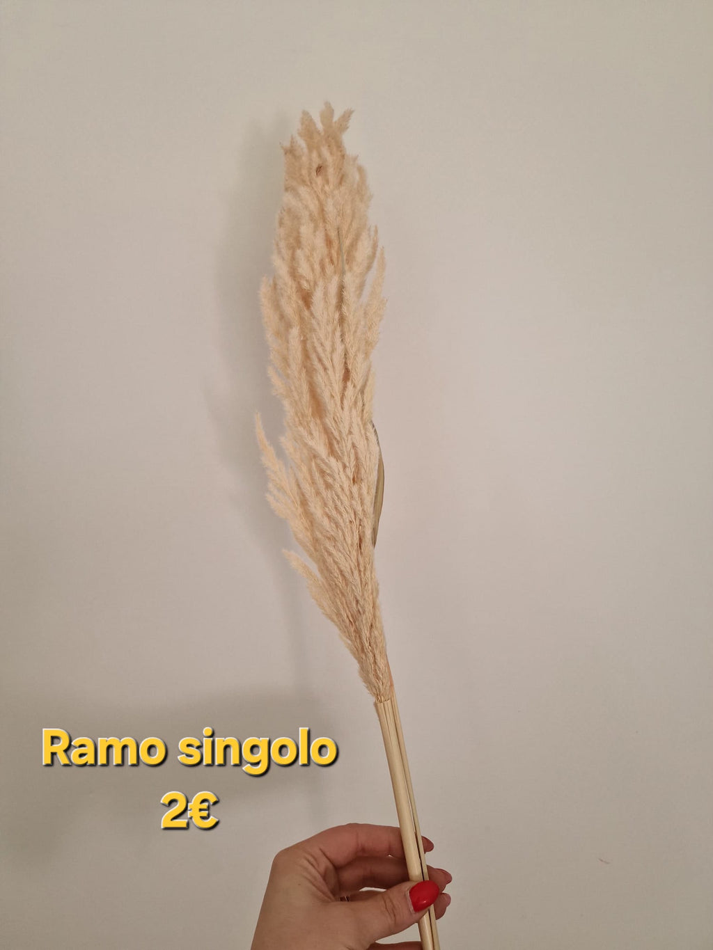 Pampas stabilizzato bianco - composizione floreale boho chic per matrimonio