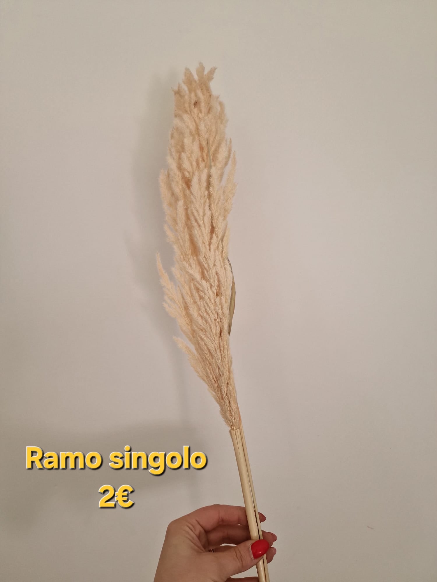 Pampas stabilizzato bianco - composizione floreale boho chic per matrimonio