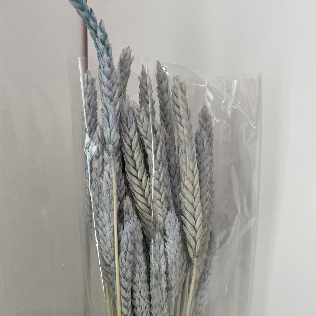 Spighe Pettinate Stabilizzate - Grano Decorativo