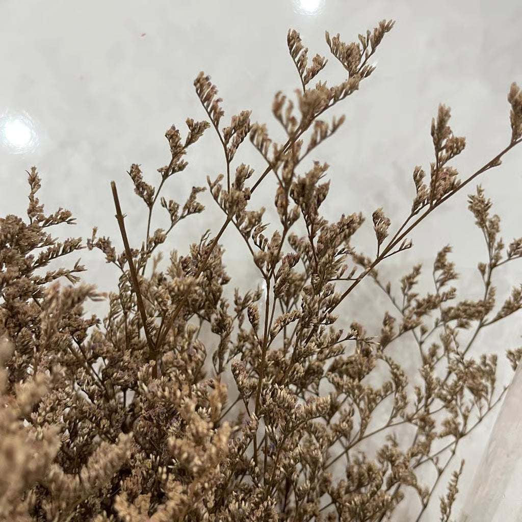 Erbetta degli Amanti Stabilizzata - Fiori Romantici