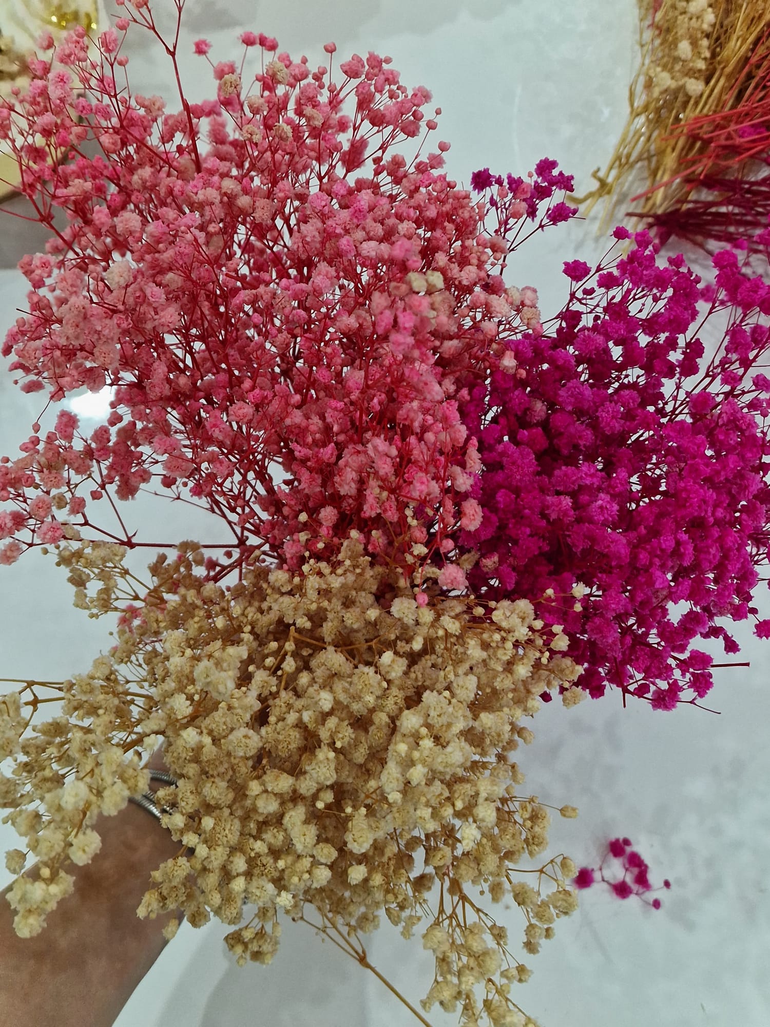 Fiori Stabilizzati Gypsophila Mista 3 Colori
