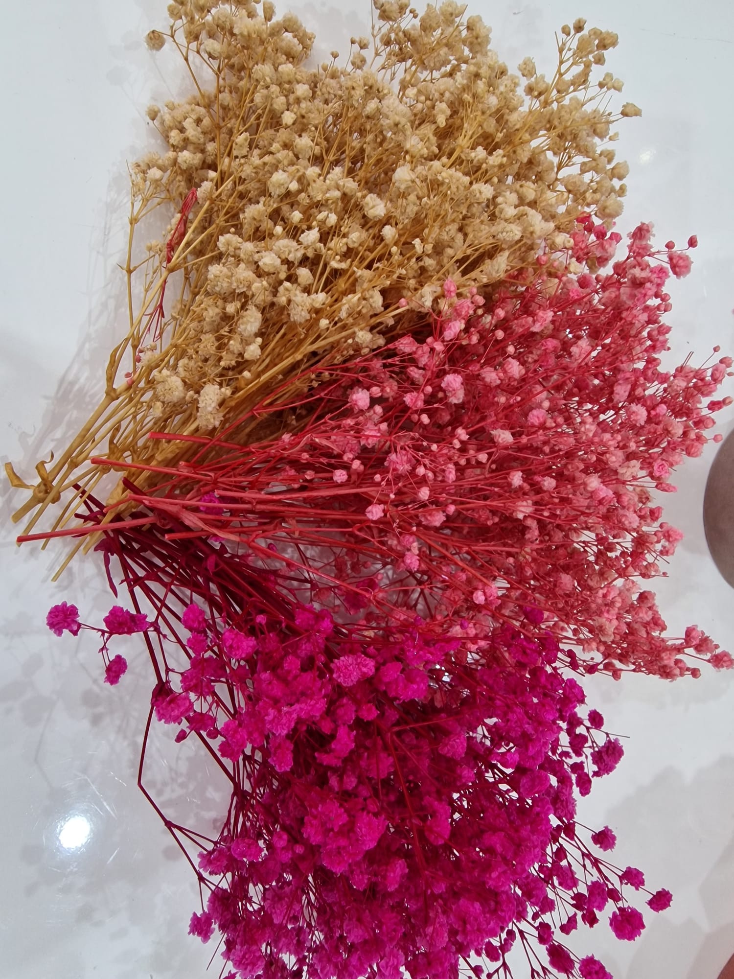 Fiori Stabilizzati Gypsophila Mista 3 Colori