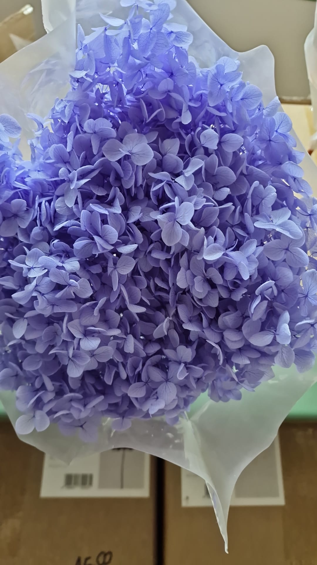 Ortensie Stabilizzate - Fiori Naturali per Decorazioni e Bomboniere