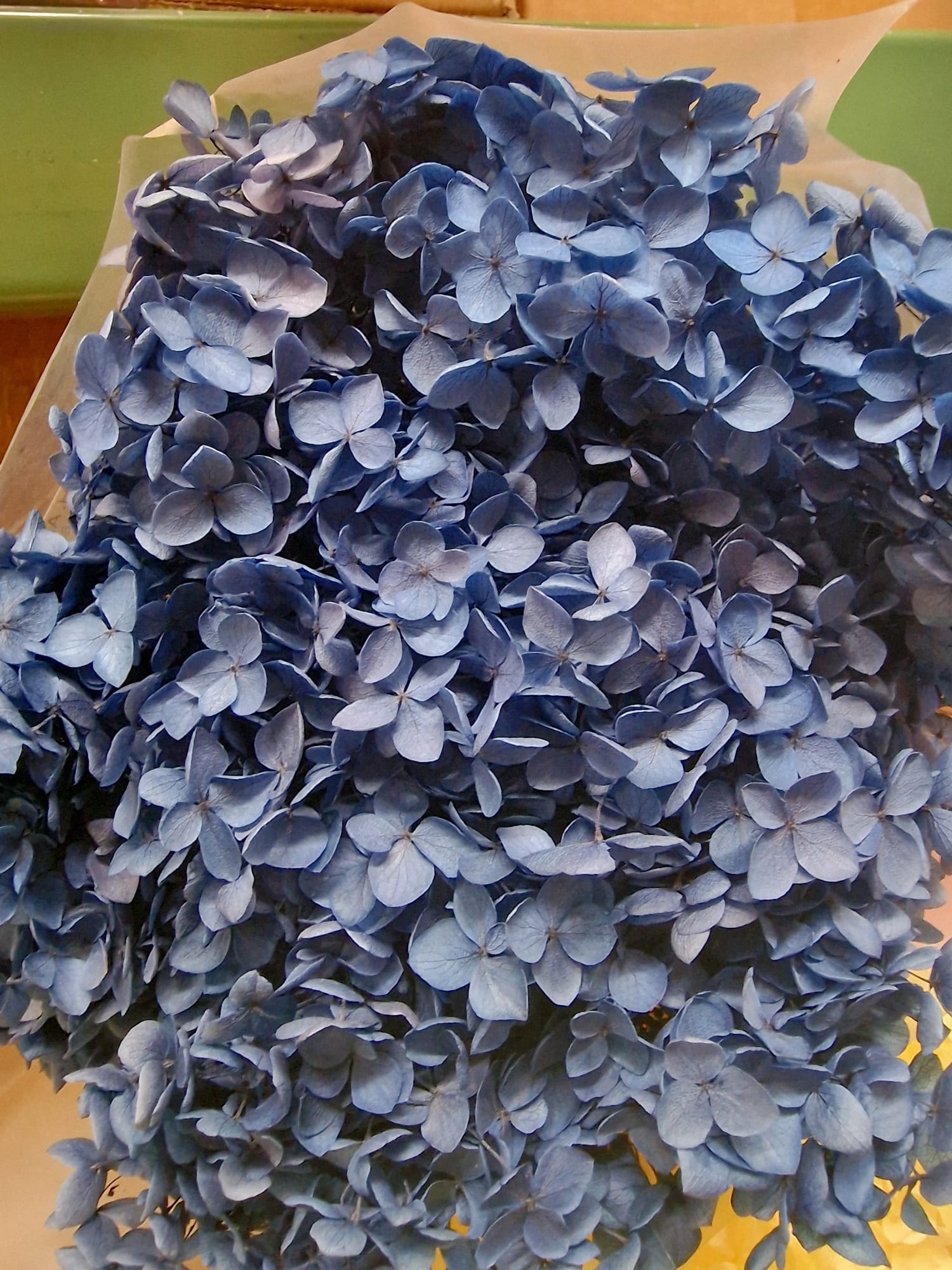 Ortensie Stabilizzate - Fiori Naturali per Decorazioni e Bomboniere